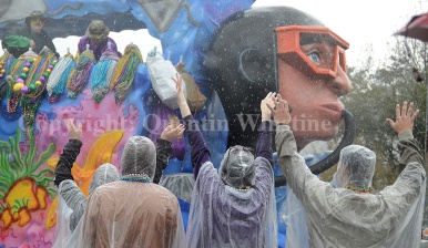 Revelers wearing ponchos try to catch beads and stay dry as the Krewe of Dionysus parade begins with rain falling in Slidell on Sunday, February 23, 2014.